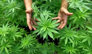 Pi&scaron;e:Bljesak.info